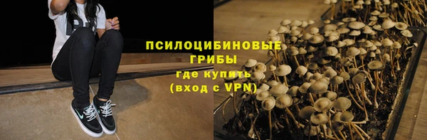 винт Протвино